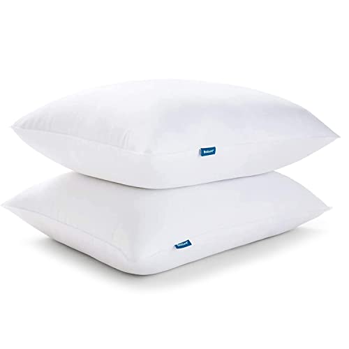 Best 10 Vacation Rental Pillows