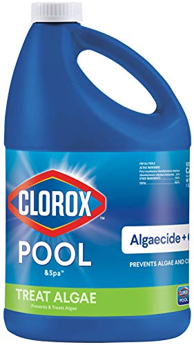 Best 10 Algaecides for Swimming Pools