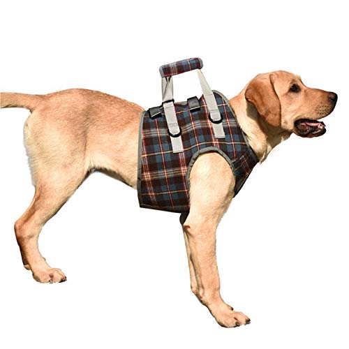 Best 10 Dog Lift Harness for Front legs