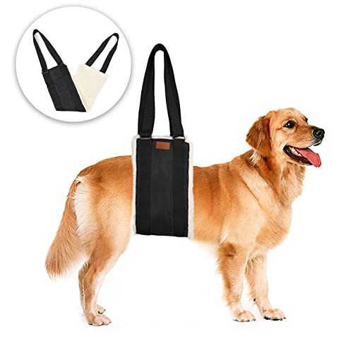 Best 10 Dog Lift Harness