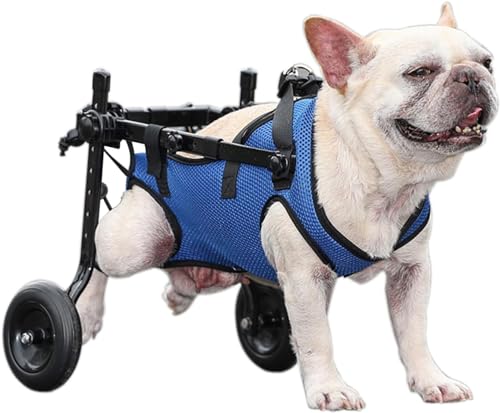 Best 10 Dog Wheelchair for Back Legs