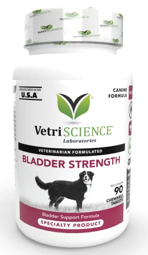 Best 10 Bladder Control Supplement for Dogs