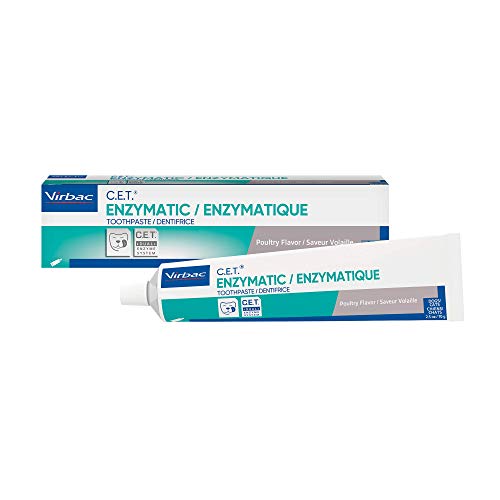 Best 10 Enzymatic Toothpastes