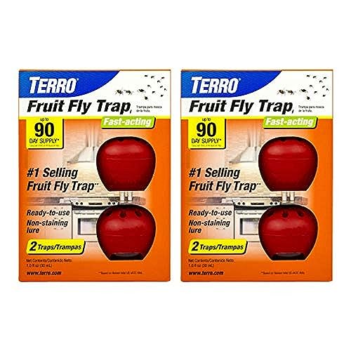 Best 10 Fruit Fly Traps