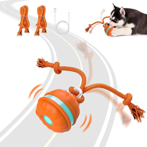 Best 10 Interactive Toys for Dogs