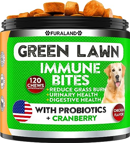 Best 10 Lawn Chews for Dogs