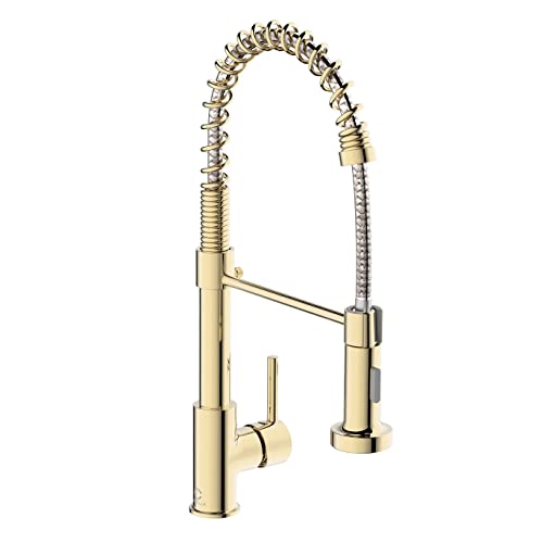 Best 6 Gold Kitchen Taps with Hose